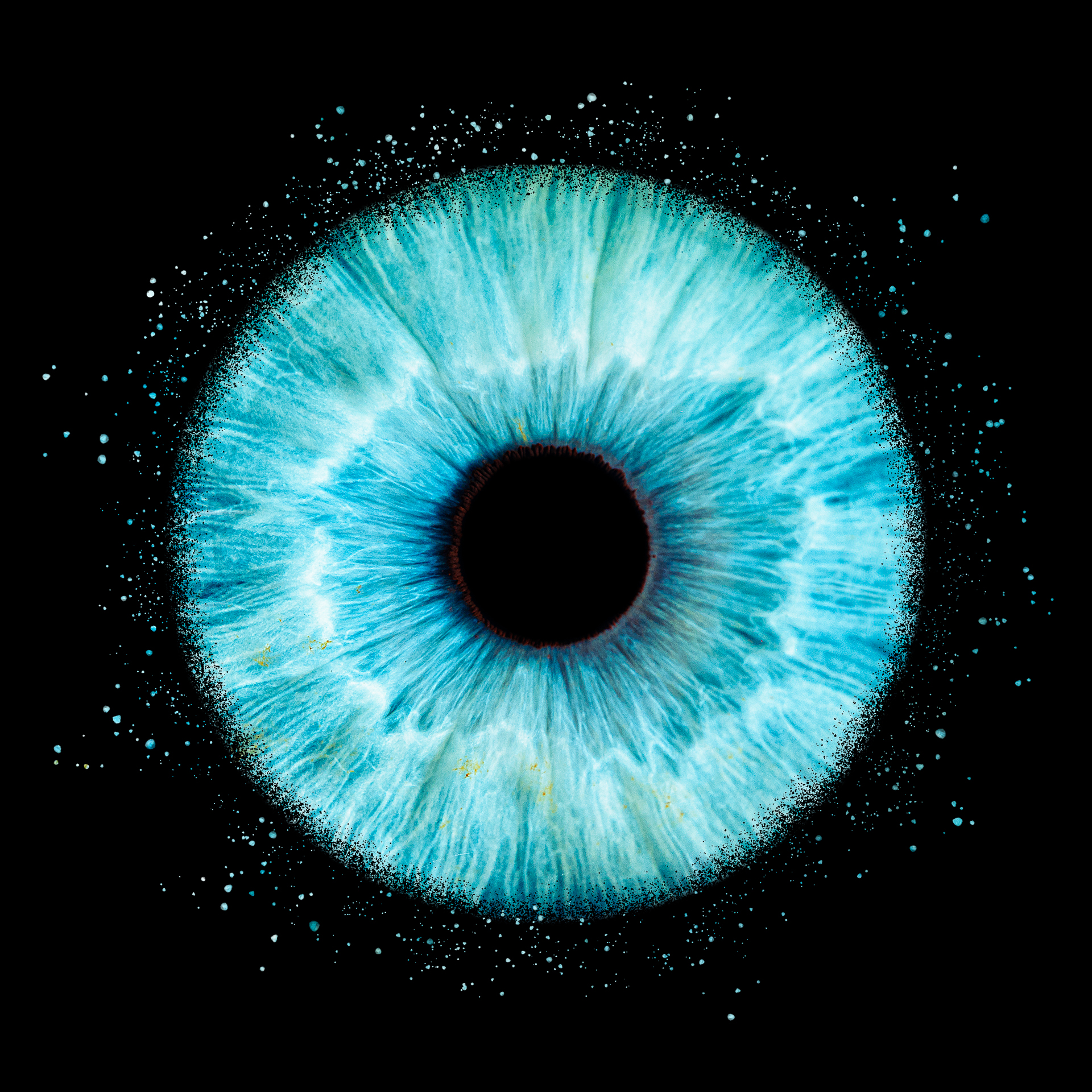 Un iris avec effet explosion de couleur marron vert et bleu sur fond noir